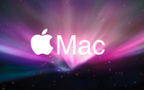 Computer Technician - 1 Hour - Apple- Remote